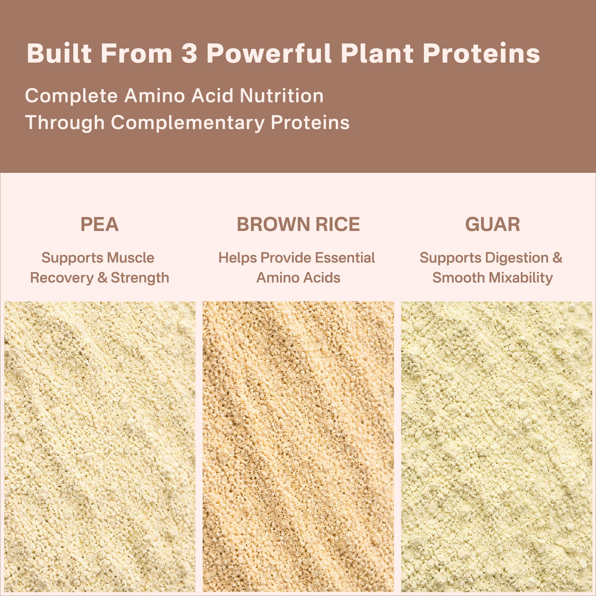 40738611658801 Three types of plant proteins with their respective benefits on a brown and white background.