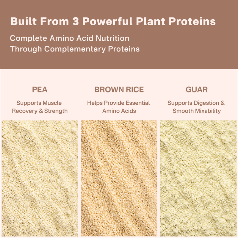 40738611658801 Three types of plant proteins with their respective benefits on a brown and white background.