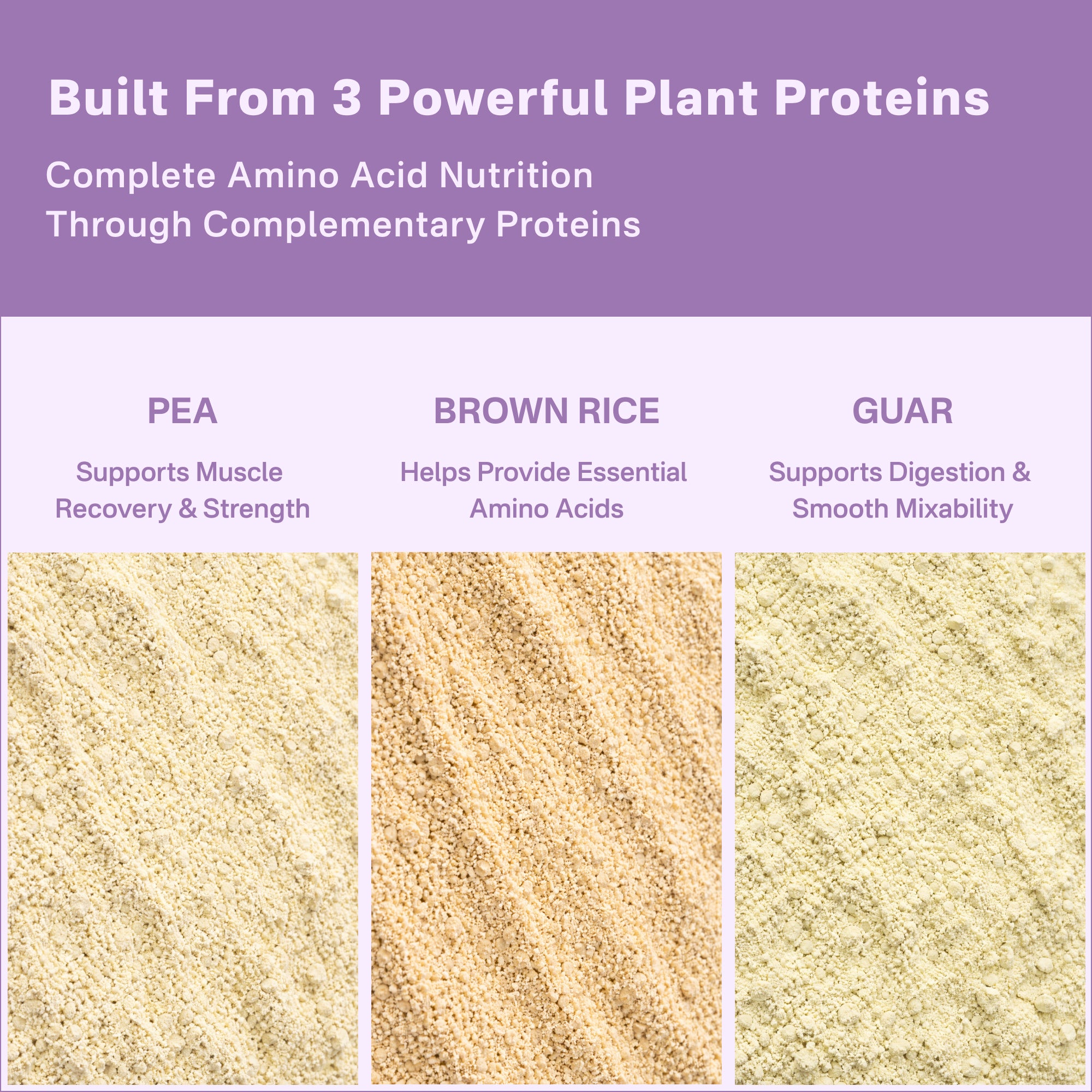 40793201049649  Three types of plant proteins with descriptions on a purple background
