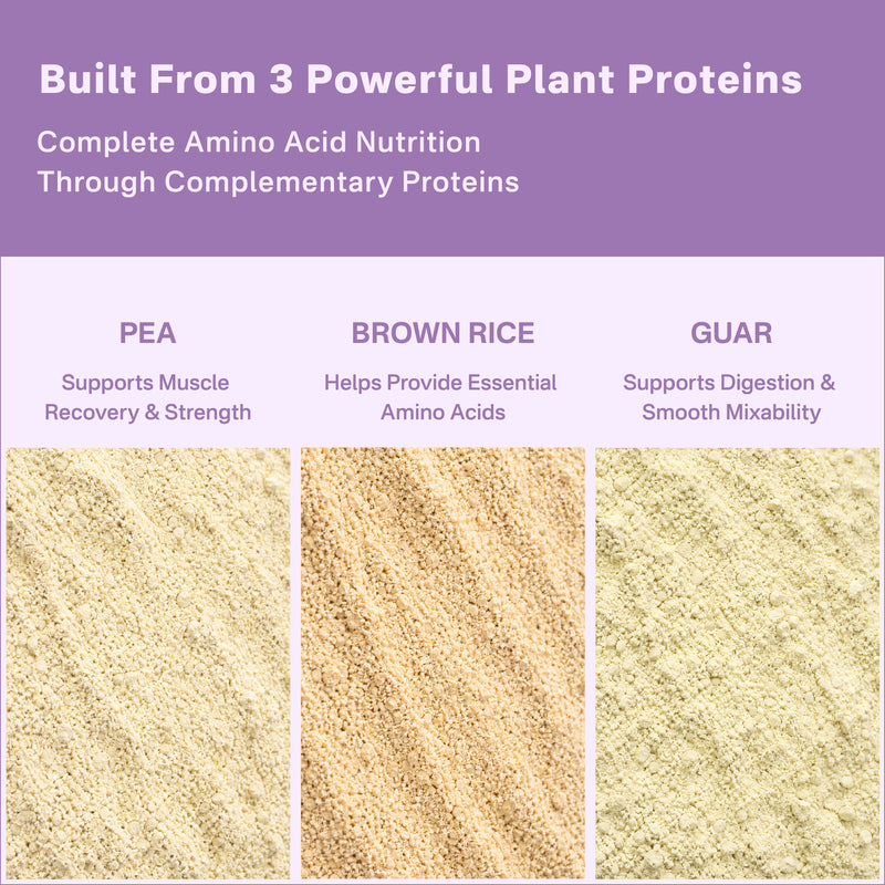 40793201049649  Three types of plant proteins with descriptions on a purple background