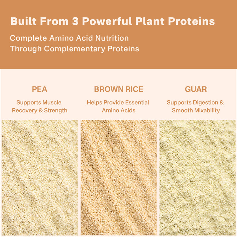 40738732539953  Three types of plant proteins with their respective benefits on a brown and white background.