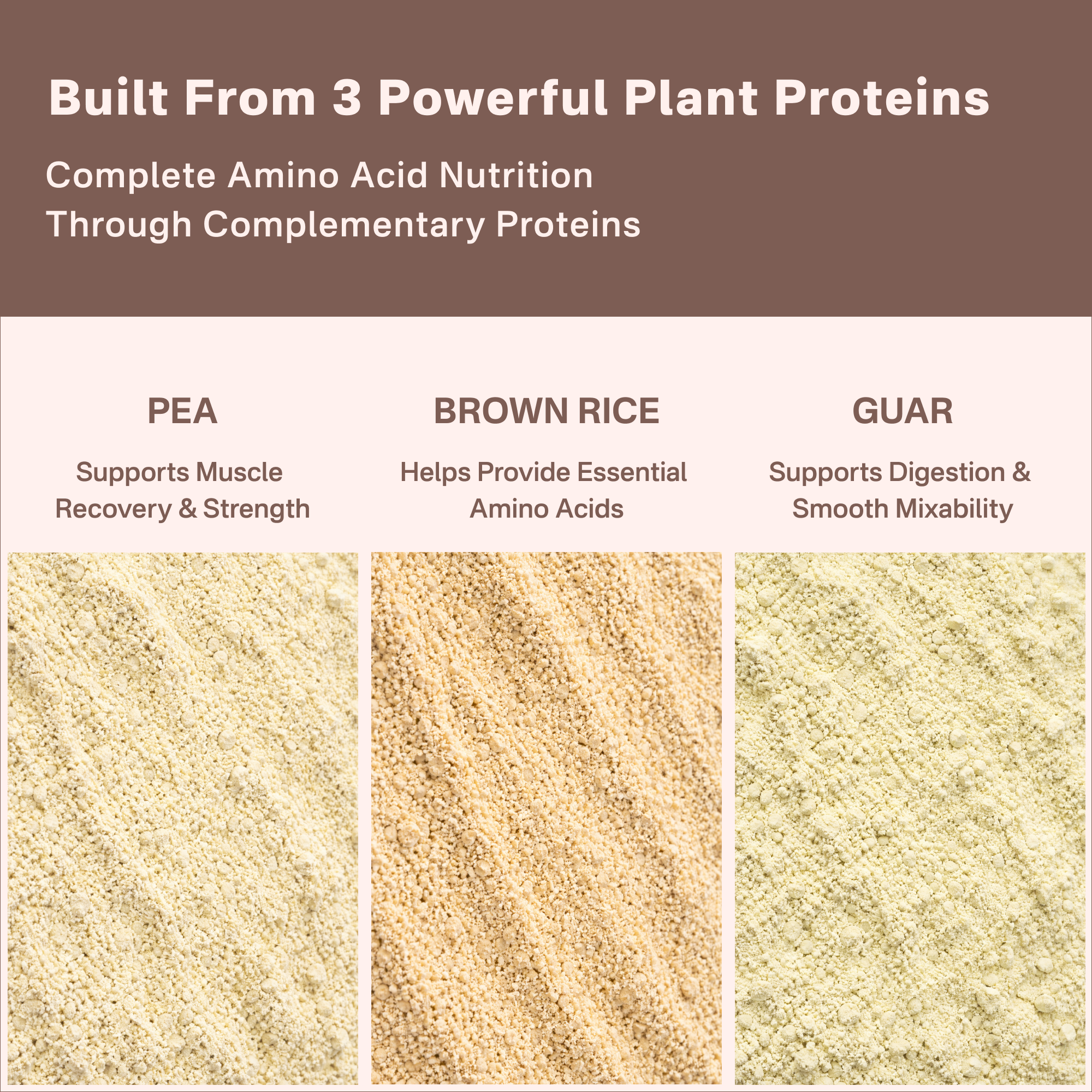 40738242232369  Three types of plant proteins with their respective benefits on a brown and white background.