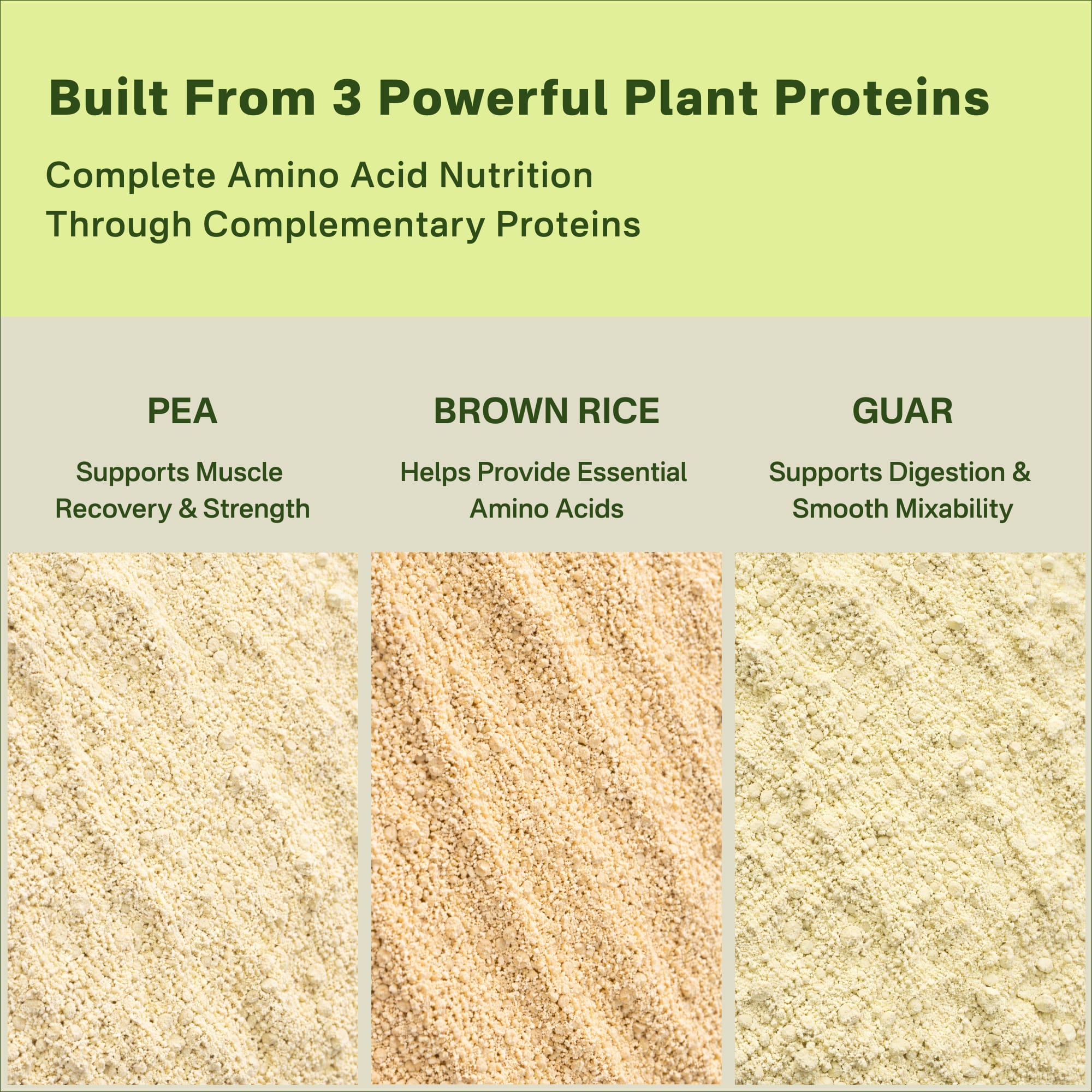 Three types of plant proteins (pea, brown rice, guar) with their respective benefits on a green background.