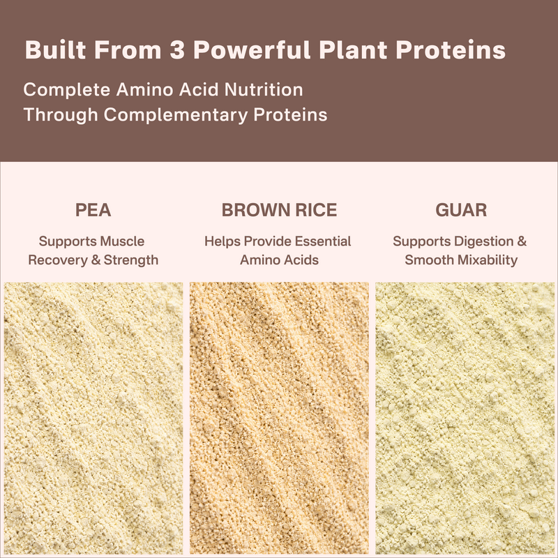 40738242232369  Three types of plant proteins with their respective benefits on a brown and white background.