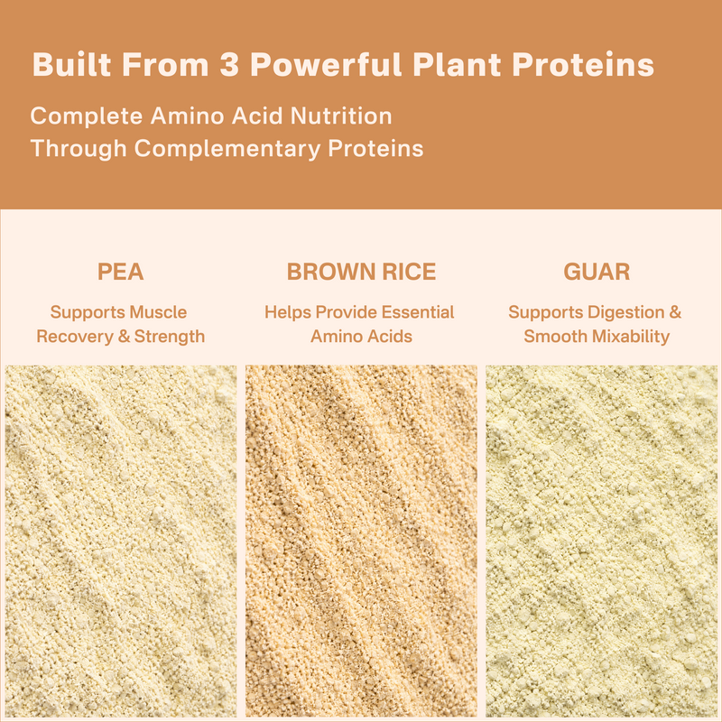 40738732572721  Three types of plant proteins (pea, brown rice, guar) with their respective benefits on a beige background.