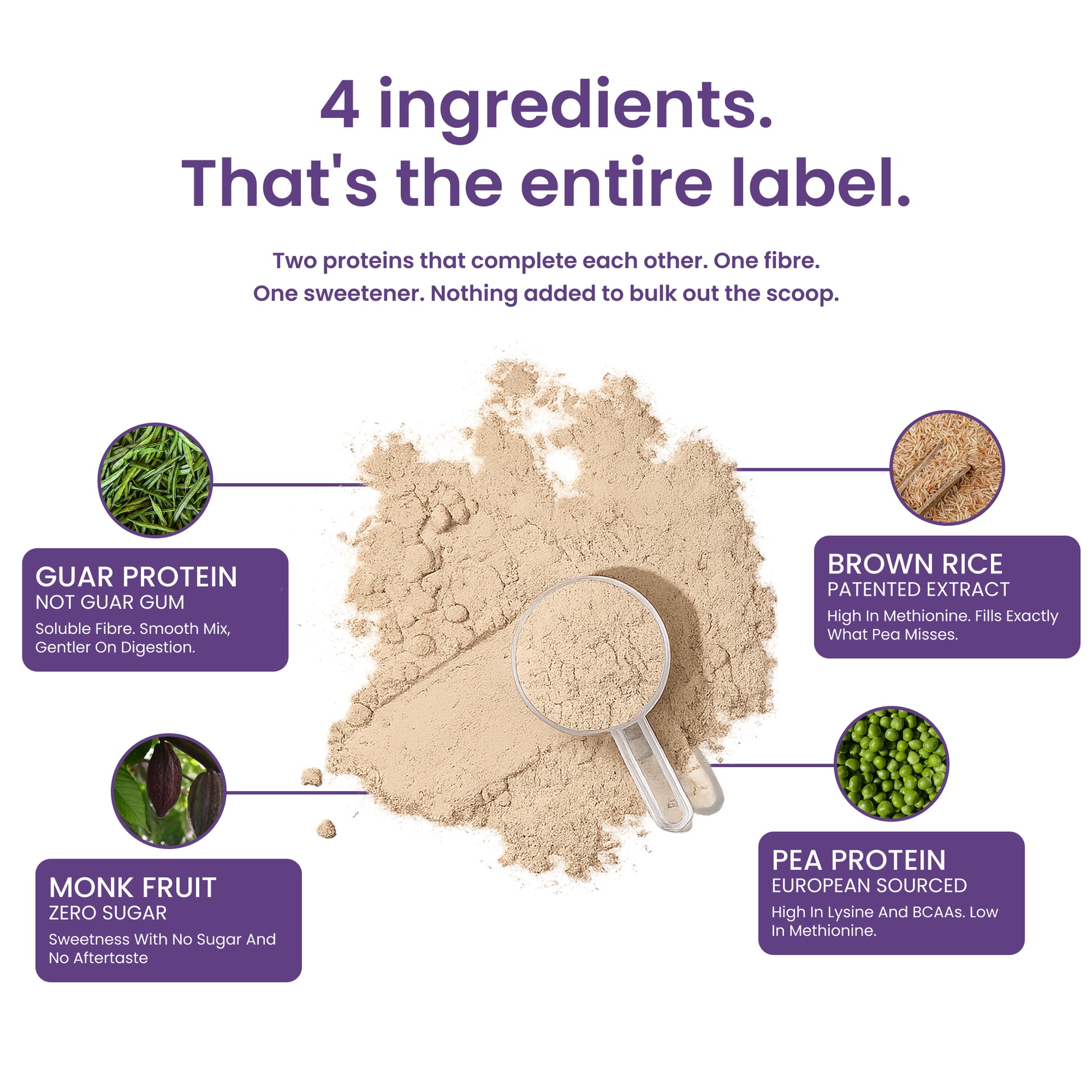 40793201049649 An infographic-style product label graphic for a protein powder scoop and powder pile, with text listing four ingredients: guar protein, brown rice, monk fruit, and pea protein. The central visual is a beige powder mound with a clear scoop, surrounded by purple callout boxes with ingredient photos and names.