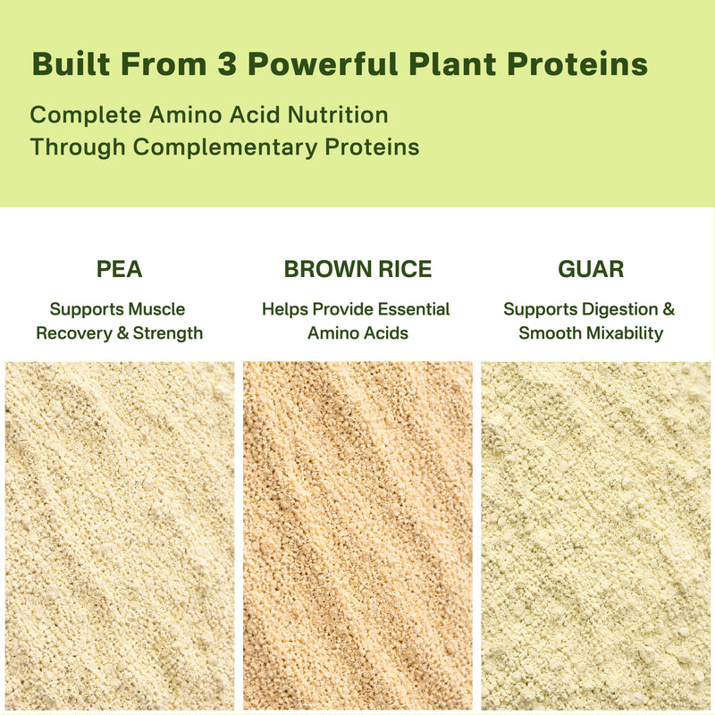 An informational graphic showing three panels of powder ingredients labeled PEA, Brown Rice, and Guar, with text at the top stating 'Built From 3 Powerful Plant Proteins' and describing amino acid nutrition.