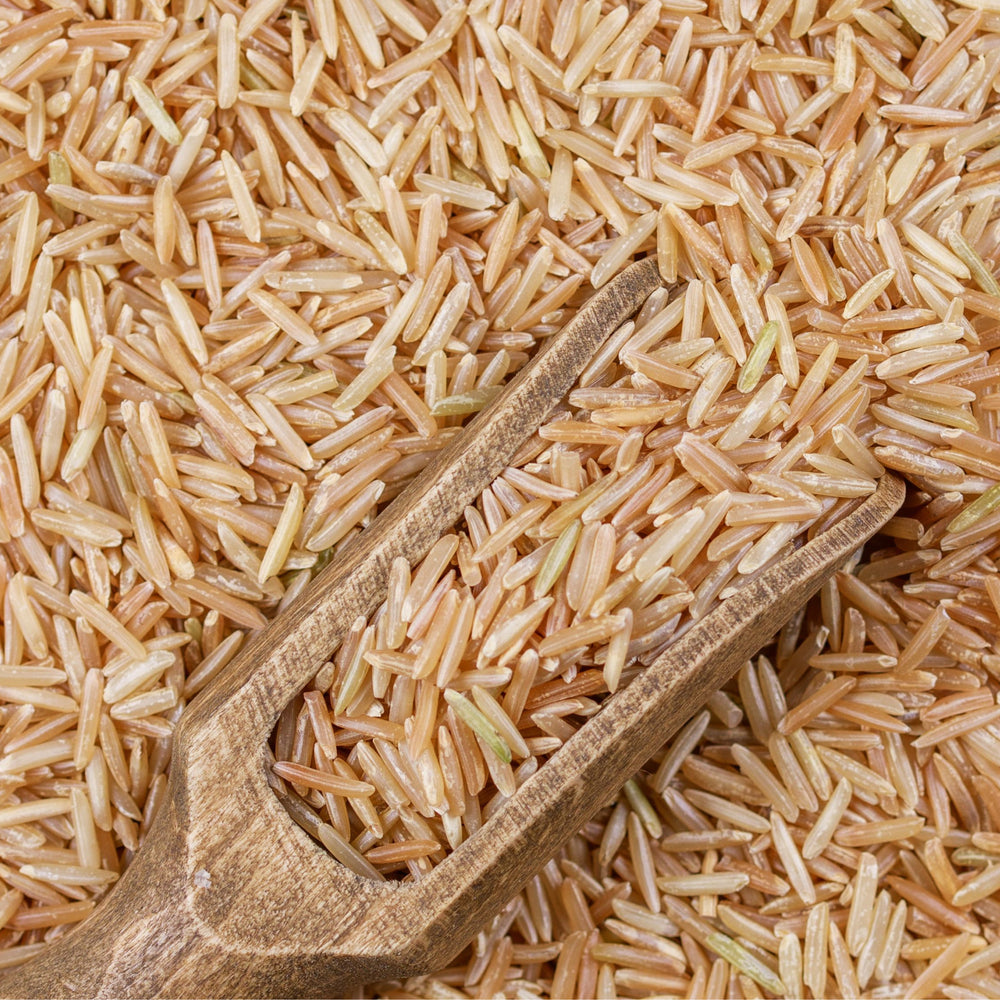 Brown Rice Protein Isolate