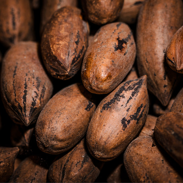 Cocoa Solids