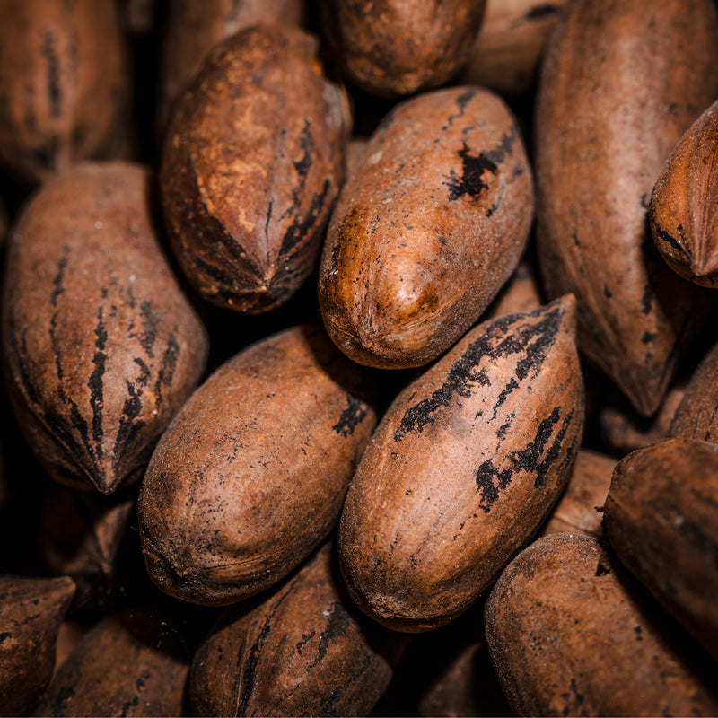 Cocoa Solids