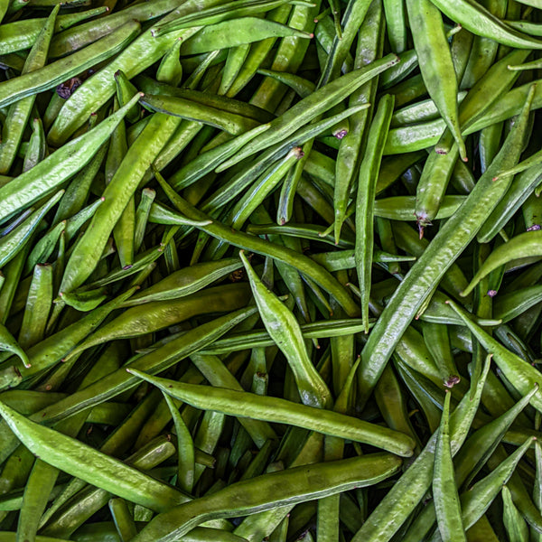 Guar Protein