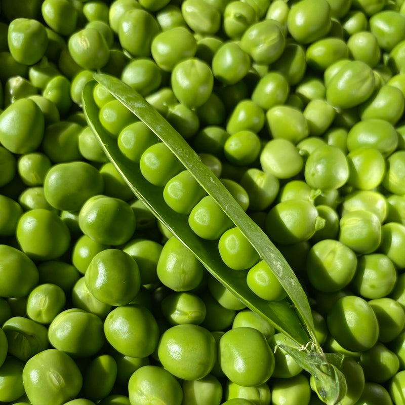 European Pea Protein Isolate